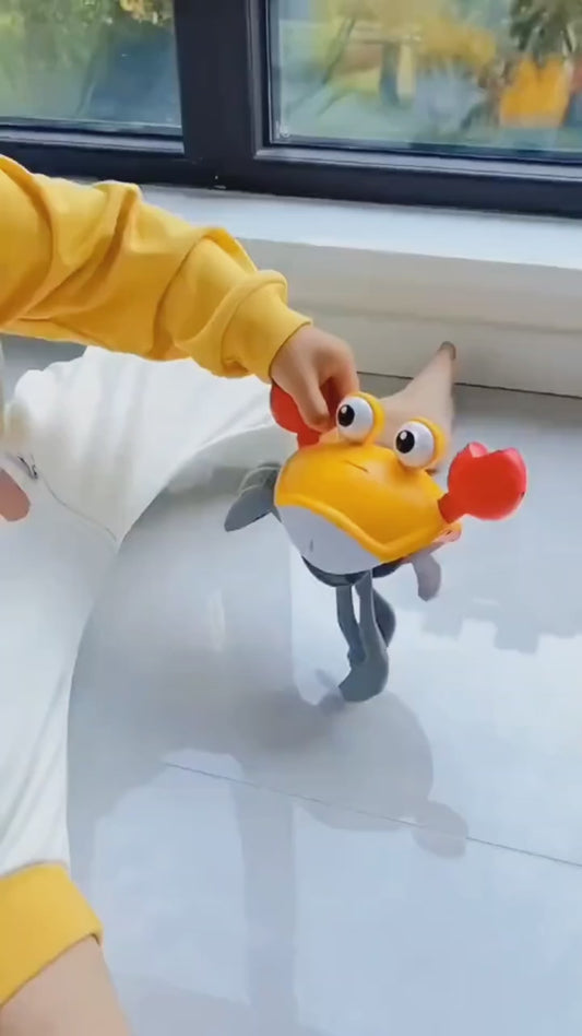 Crawling Crab Toy
